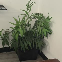Faux Plants & Shrubs/Greenery 