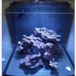 Saltwater Aquarium and Live Rock