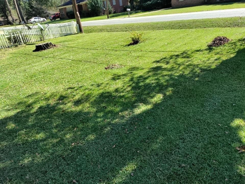 Cheaper Lawn Care!!!!