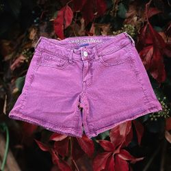 Women's American Eagle Outfitters Jean Shorts 