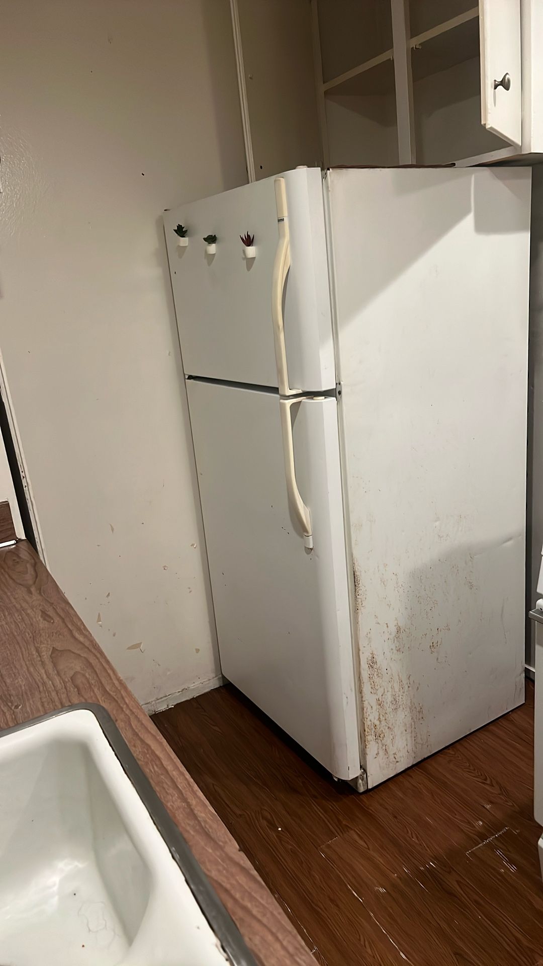 fridge