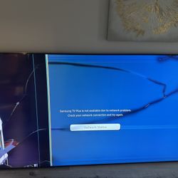 Free 85 Inch Samsung Tv Damaged In Move 