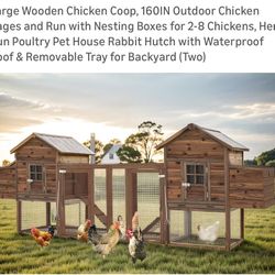Chicken Enclosures