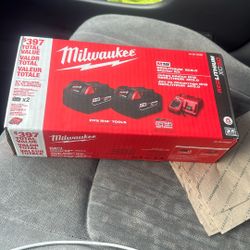 Two Brand New Batteries,5.0 plus brand new rapid charger