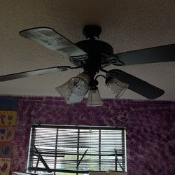 Ceiling Fan