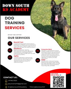 Dog Training 