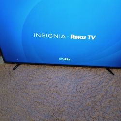 49 Inch Insignia Roku Smart Tv