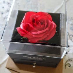 Rose Box With Silver Necklace 
