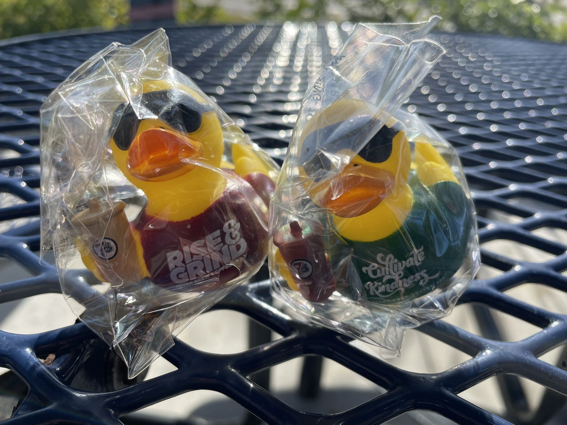 7Brew Ducks