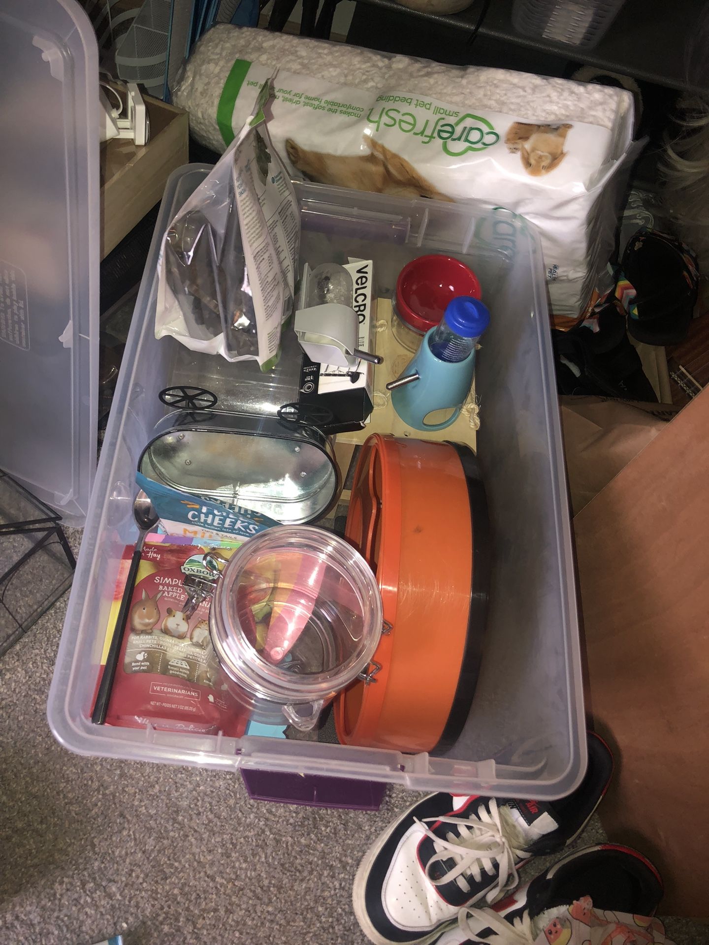 Hamster Supplies