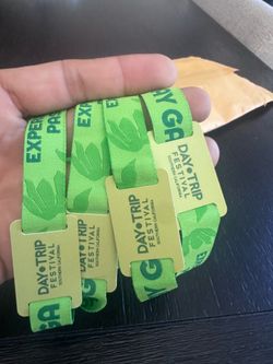 Day Trip 2 day passes Saturday and Sunday