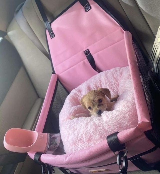 Dog car seat pink very cute