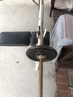Beginners Workout Bench