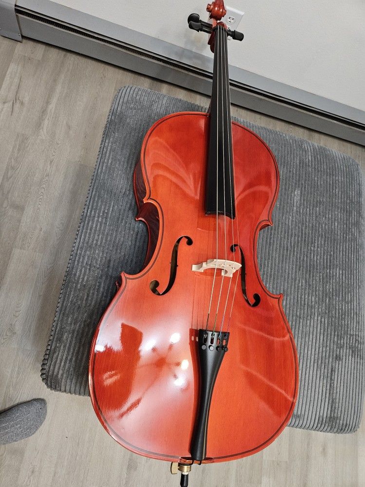 Cecilio Beginner Cello 4/4 With Soft Case