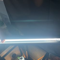 Chameleon Enclosure/tank