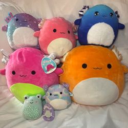 Squishmallow Lot