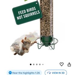 Electric Bird Feeder 