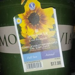 All The Best Quality Flower's For Cheap!