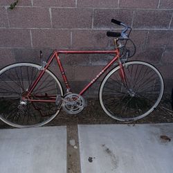 Schwinn Le Tour Tourist
