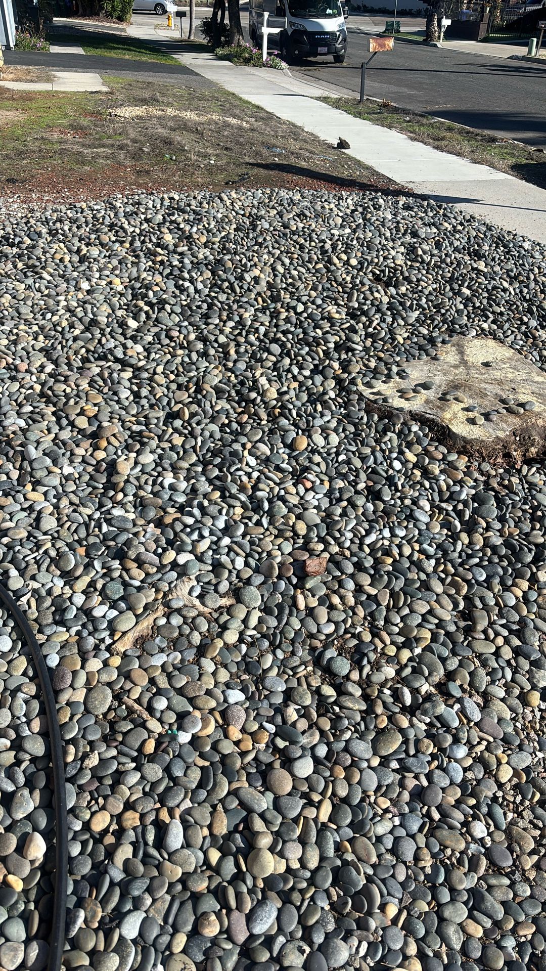 Decorative Stones/Pebbles