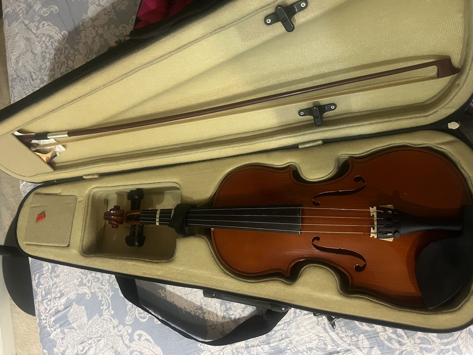 Violin