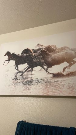 Horse portrait