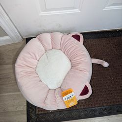 Cat bed