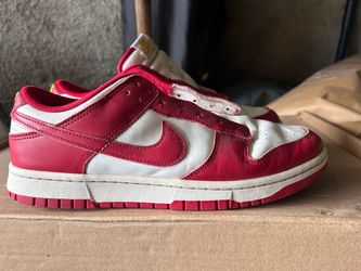 Nike dunks  (SIZE 10 U.S)