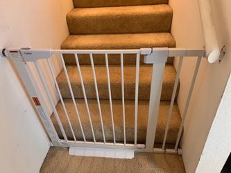 Dog gate