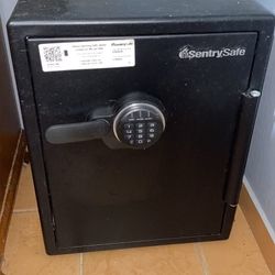 Sentry Safe