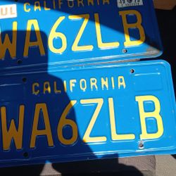 Vintage California Plates