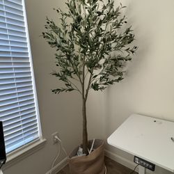 6ft Faux Olive Tree (best Quality & Realistic!)
