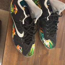  Nike LeBron XI (11) Florida Everglades color way. Size 13 Lightly worn in great condition. 