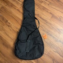 Guitar Case 