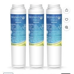 Refrigerator Water Filters