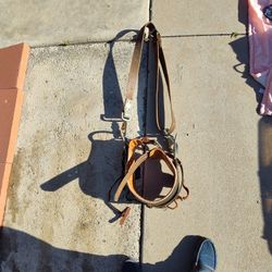 Climbing Belt/Harness