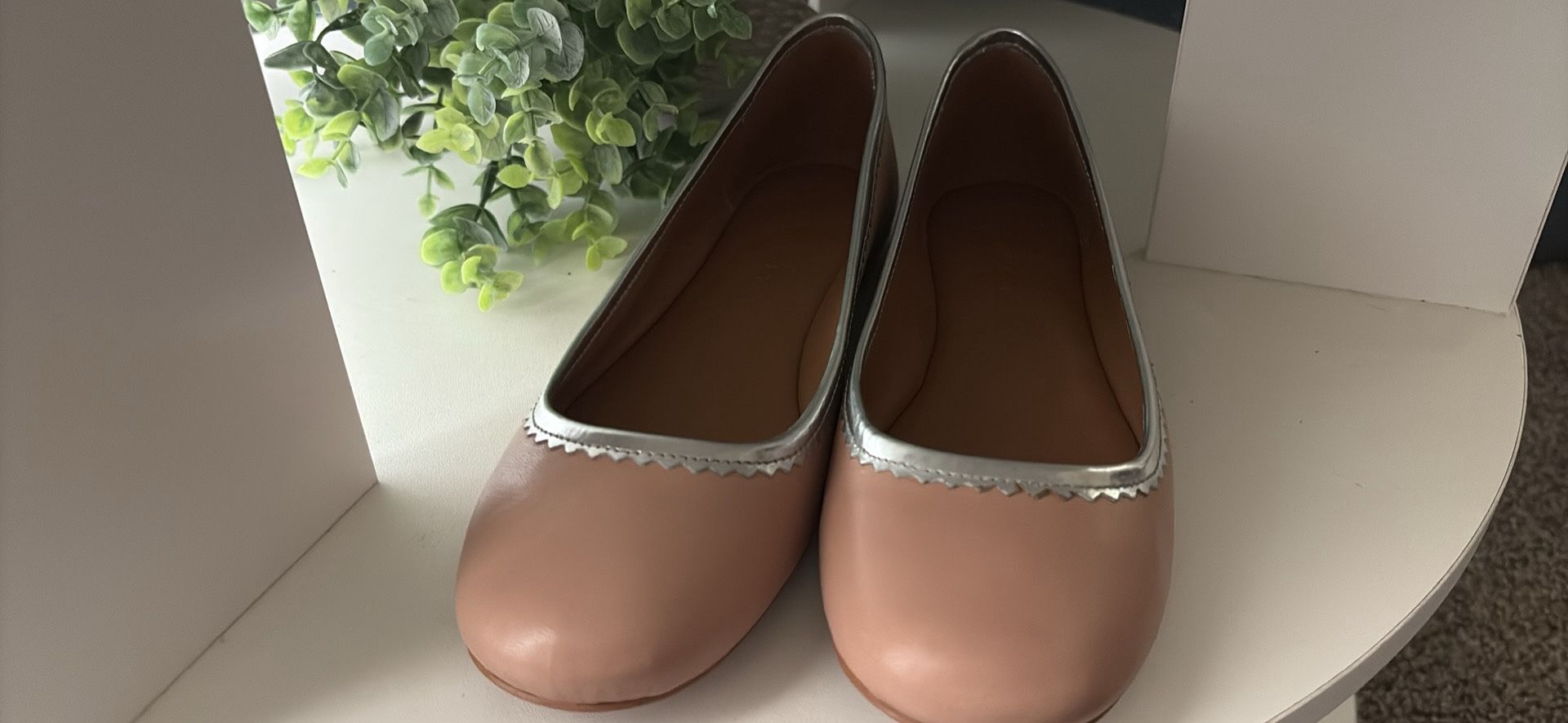 Brand New Nude Coach Flats W/box