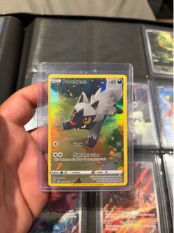 Poochyena (pokemon)