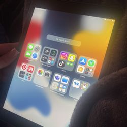ipad air 2 (64gb)