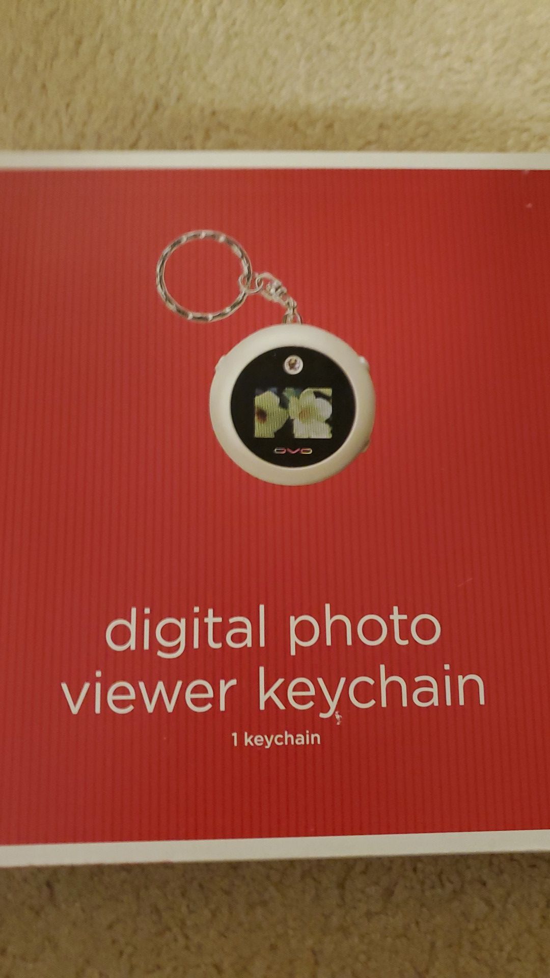 Digital Photo Viewer Keychain