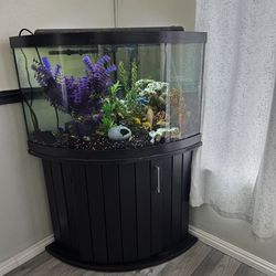 50  gallon corner aquarium with stand