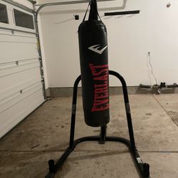Punching Bag 