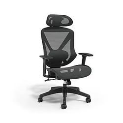 Ergonomic Mesh Swivel Chair - Like New