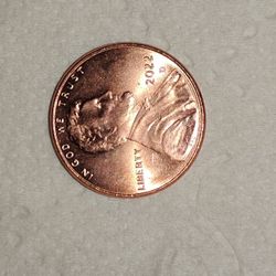 2022 D Penny very nice