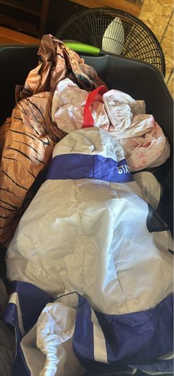 Misc adult costumes