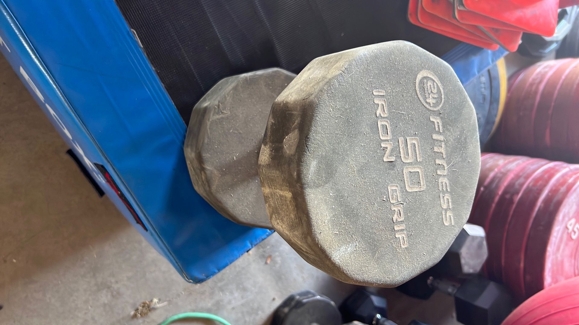 50lb Single Dumbbell