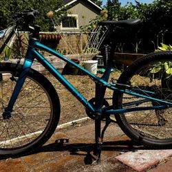 Specialized Jett 24”