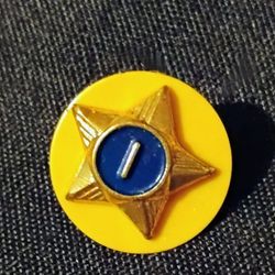 Vintage Boy Scouts 1 Year Star Pin 