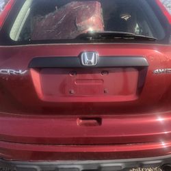 Honda CR-V 2010 Tailgate Assembly OEM  