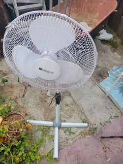 White fan